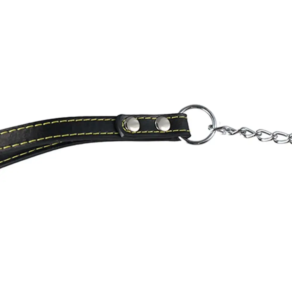 Towing Leash Dog Necklace For Small Medium Large Dog Long Strong Control Dog Chain Dog Lead Pet Traction Rope Pet Supplies - Image 6