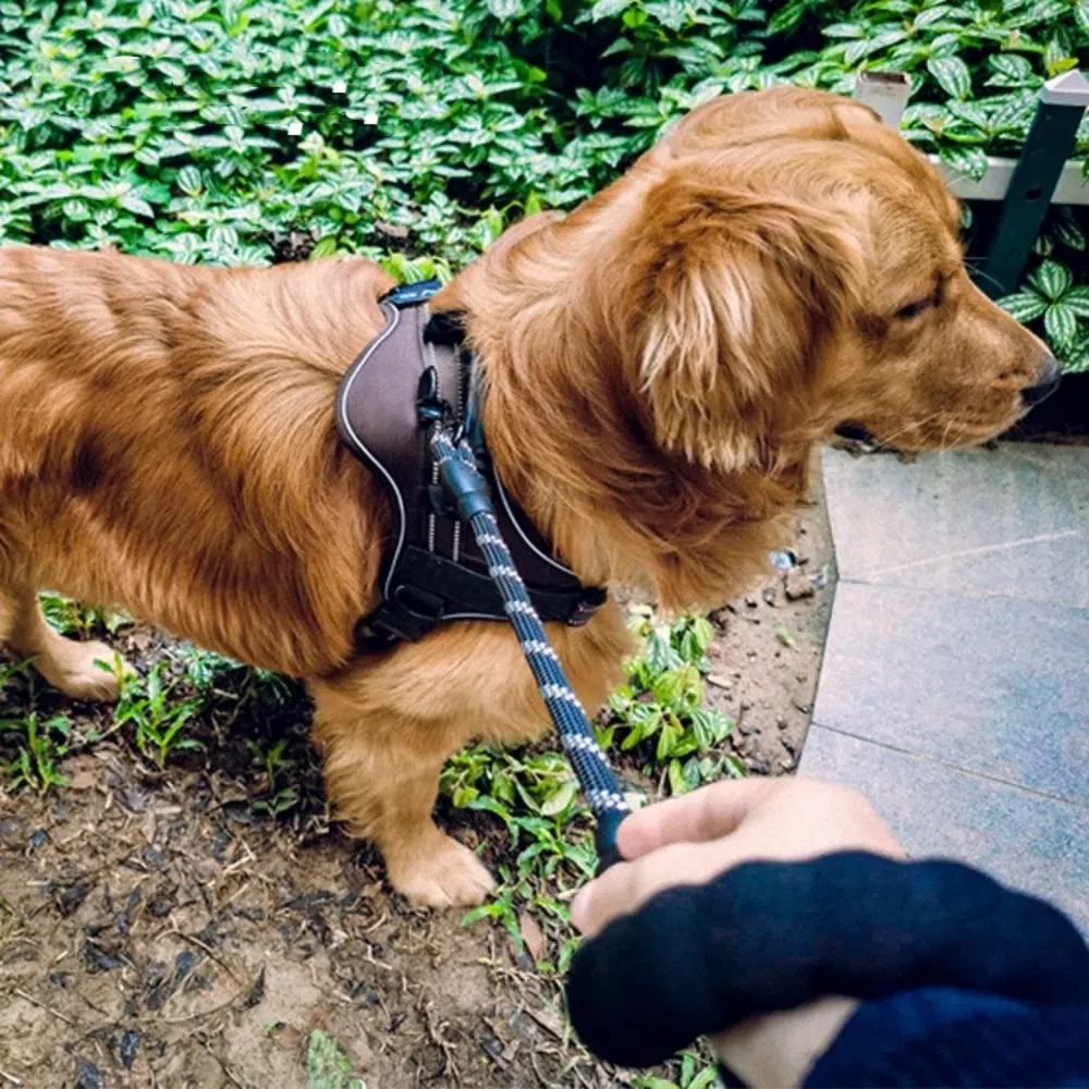 1PC Follow Closely Short Training Dog Leash Soft Strong Dog Lead Heavy Duty Durable Pet Leashes Dog - Image 12