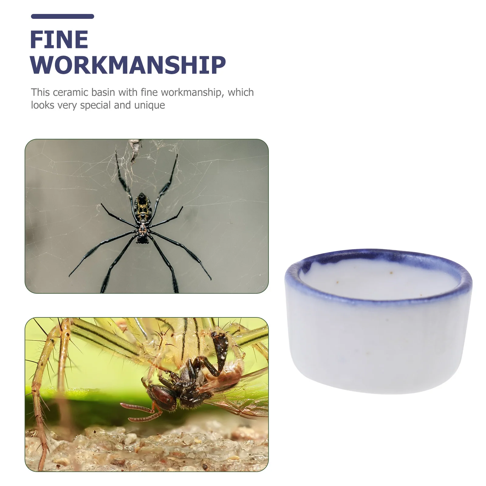 12pcs Mini Ceramic Basins Reptile Tank Water Bowls Durable Small Spiders Scorpion Terrarium Pet Supplies Unique Design Multi - Image 5