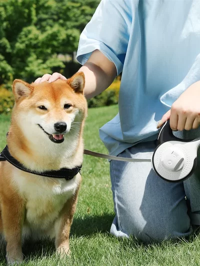 5M/8M Dog Leash with Poop Bag Dispenser Automatic Roulette Tow Rope with Detachable Led Flashlight Pet Puppy Collar Walking Lead