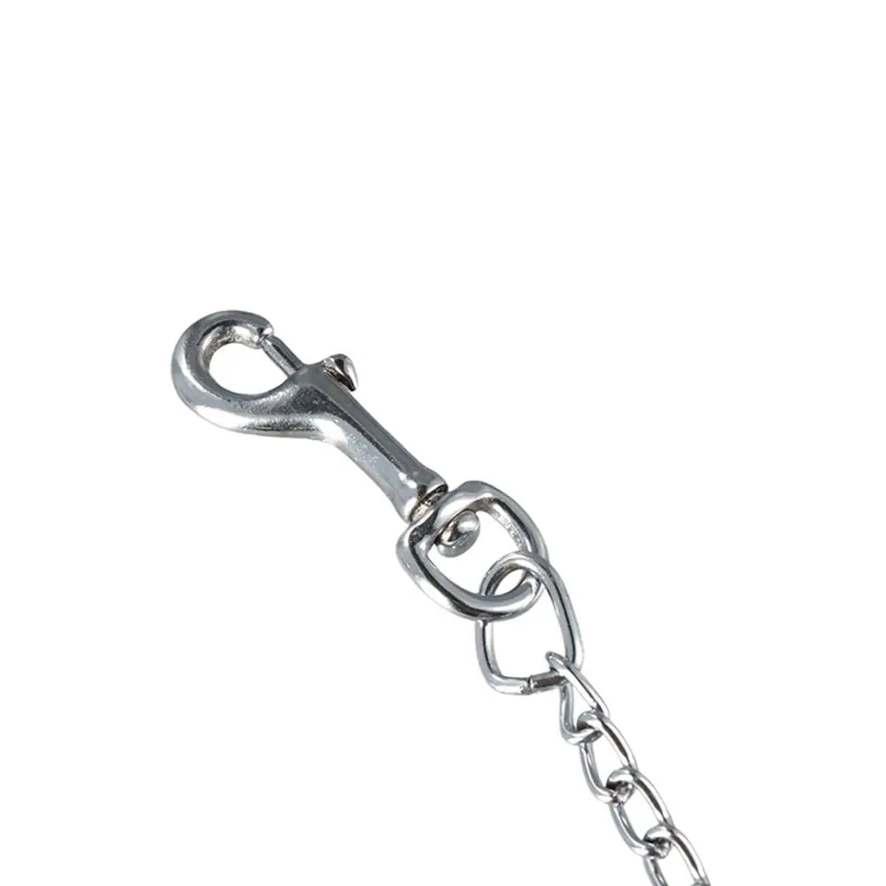 Towing Leash Dog Necklace For Small Medium Large Dog Long Strong Control Dog Chain Dog Lead Pet Traction Rope Pet Supplies - Image 2