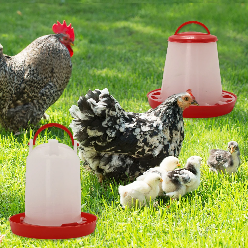 3kg+3L Poultry Feeder And Waterer Water Food Dispenser Automatic Chicken Birds Chick Waterer Feeding Bucket Container Supply - Image 2