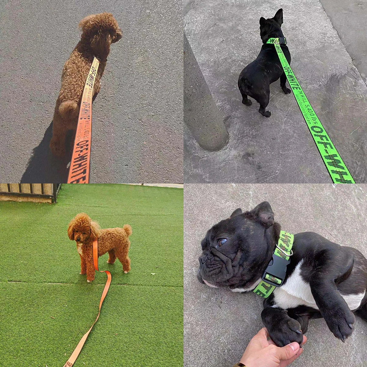 Nylon leash, used for pet dog rope, popular and fashionable pet leash, used for pet products of medium-sized dogs and large dogs - Image 6