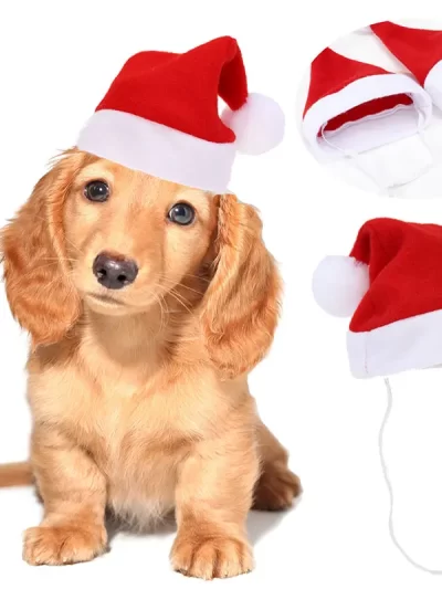 Pet Cat Dog Christmas Hat Cap Puppy Dog Accessories for Small Dogs Costume Dog Hats for Cats Costumes Pet Supplies