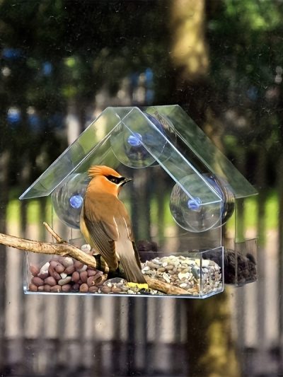 Acrylic Bird Cage & Feeder - Transparent Wall-Mounted Design with Multiple Feeding Ports, Durable Outdoor Bird Feeder for Small Birds, Safe & Easy-Clean Pet Supplies, Bird Feeders for Outside Hanging, Clear Viewing Panel, Weatherresistant Material