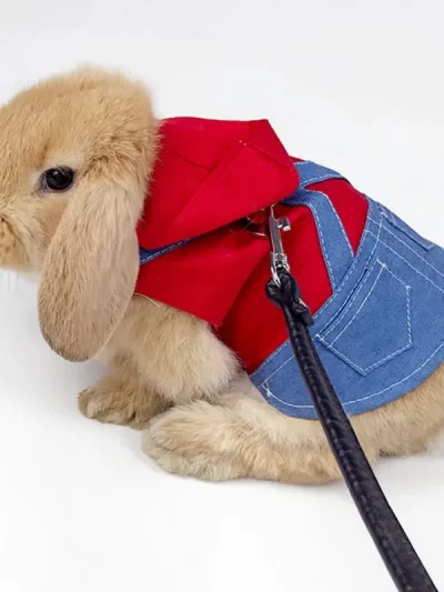 Rabbit Clothes Denim Jacket Coat Pet Small Animal Harness Leash Vest Bag Hat Set for Ferret Bunny Hamster Small Pet Supplies