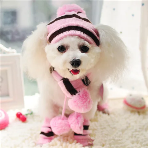 Winter Pet Puppy Accessories For Dogs Knitted Striped Hats Scarf Socks Little Small Big Animals Yorkshire Chihuahua Cat Products - Image 7
