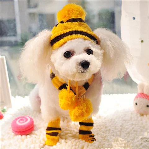 Winter Pet Puppy Accessories For Dogs Knitted Striped Hats Scarf Socks Little Small Big Animals Yorkshire Chihuahua Cat Products - Image 9