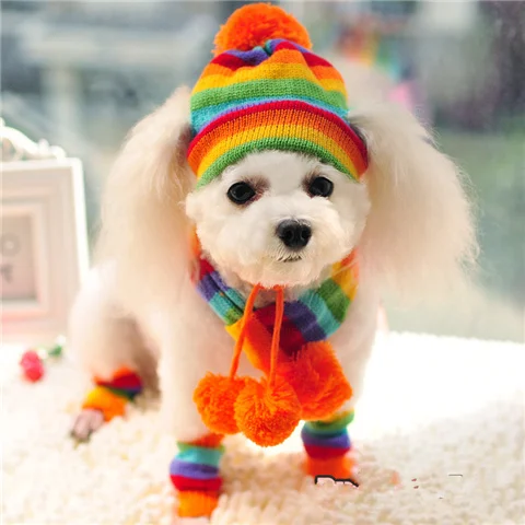 Winter Pet Puppy Accessories For Dogs Knitted Striped Hats Scarf Socks Little Small Big Animals Yorkshire Chihuahua Cat Products - Image 8