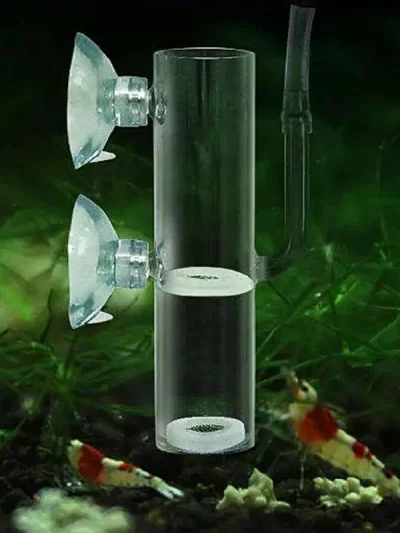 Aquarium Egg Incubator Hatch Crystal Shrimp egg hatcher Fish Tank Transparent Glass Aquarium Supplies