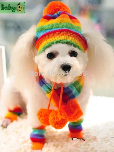 Winter Pet Puppy Accessories For Dogs Knitted Striped Hats Scarf Socks Little Small Big Animals Yorkshire Chihuahua Cat Products