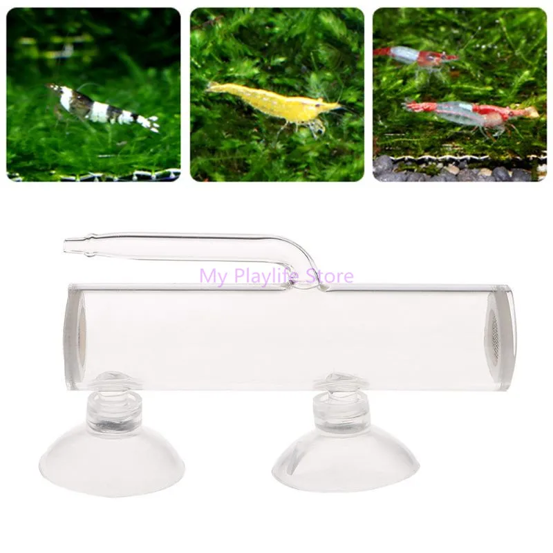 Aquarium Egg Incubator Hatch Crystal Shrimp egg hatcher Fish Tank Transparent Glass Aquarium Supplies - Image 7