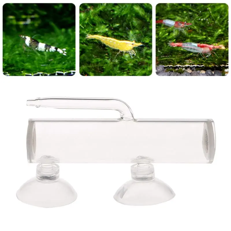 Aquarium Egg Incubator Hatch Crystal Shrimp egg hatcher Fish Tank Transparent Glass Aquarium Supplies - Image 2
