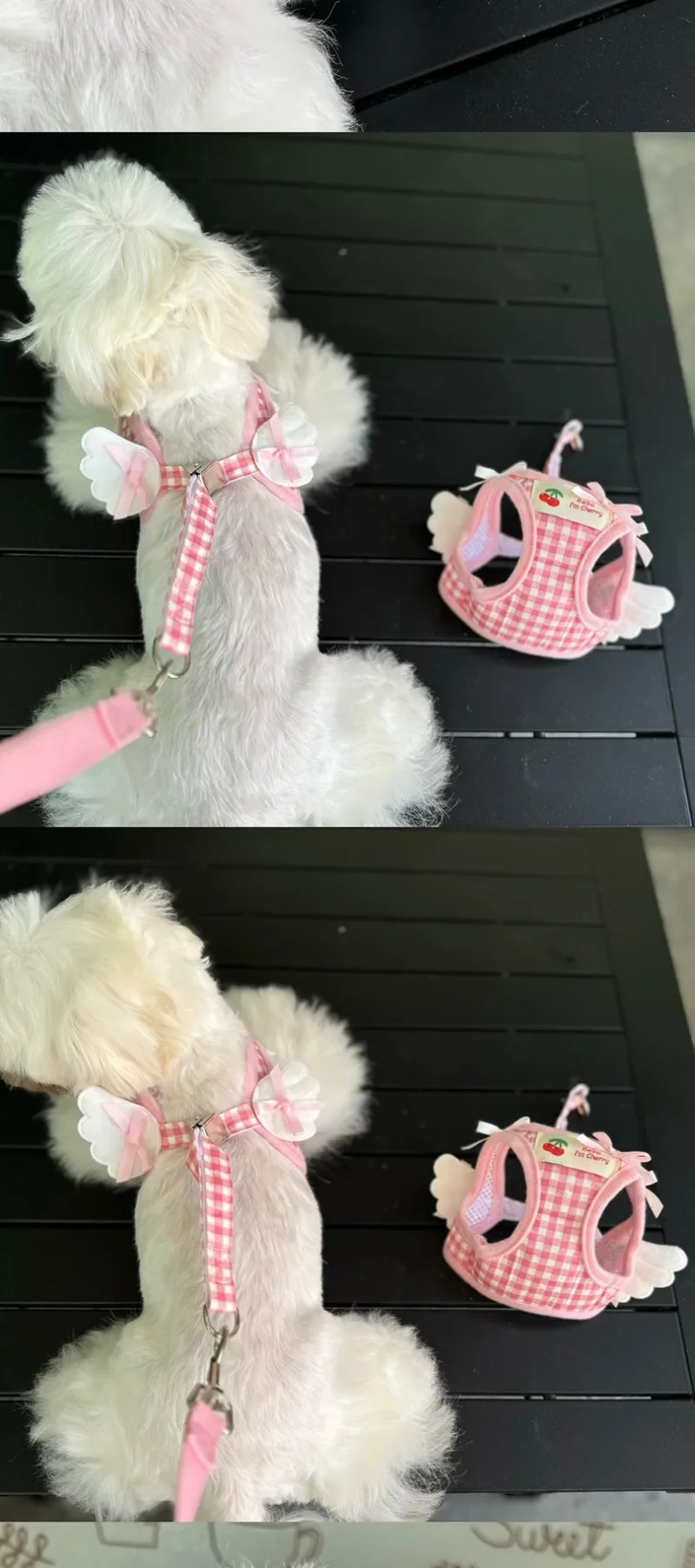 Cat Collars Pet Teddy Vs Panda Mimi Dog Walking Leash Chain and Small Puppy Outing Chest Strap Cute Chest Vest Cat Supplies - Image 13