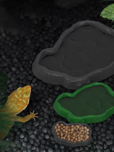 Crawler Pet Feeder Basin Reptiles Amphibians Drinking Feeder Turtle Tortoise Scorpion Lizard Crab Bowl Small Pet Supplies