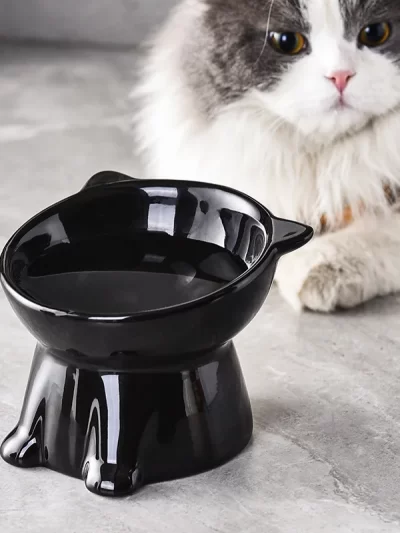 Black Cat Bowl Pet Bowl Pet Supplies Dog Macaron Color New Cat and Dog Universal Pet Bowl