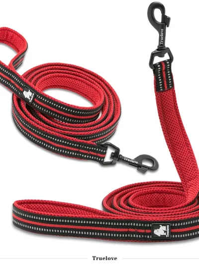 Truelove Pet Leash 200CM