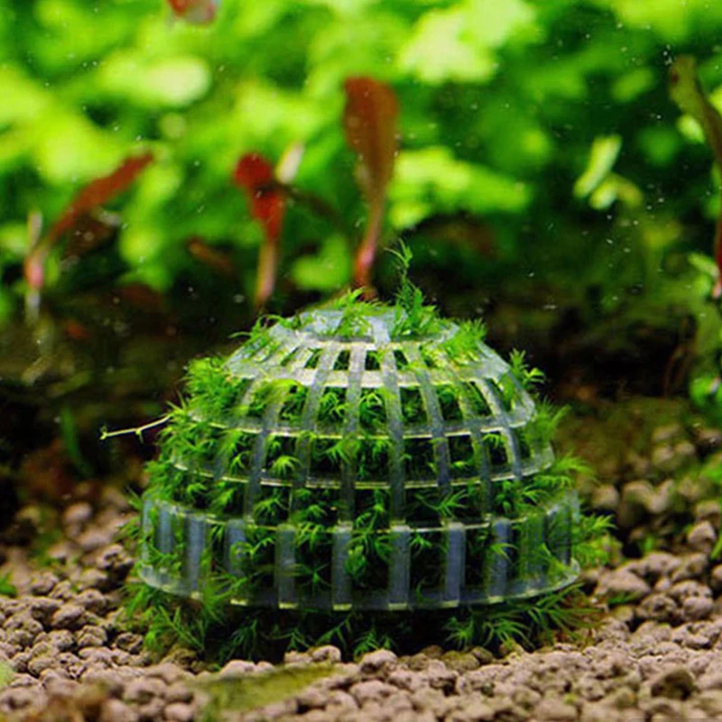 Aquatic Pet Supplies Decorations Aquarium Moss Ball Live Plants Filter Pet Decor - Image 4