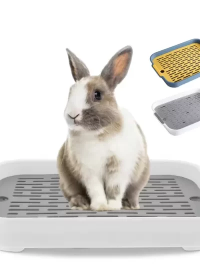 Rabbit Litter Box Small Pet Toilet Tray Bunnies Corner Toilet Box For Ferret Hamster Dragon Cat Guinea Pig Dutch Pig Supplies