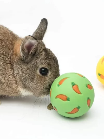 1pcs Rabbit Treat Ball Pet Slow Feeder Interactive Bunny Toy Snack Toy Ball Bite Resistant Feeding Toys Ferret Kitty Hamster Toy