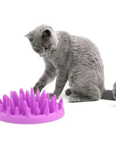 Pets Dog Cats Feeder Bowls Catch Interactive Hard Silicone Cat Kitten Slow Food Feed Non Slip Anti Gulping Feeder Bowl Supplies