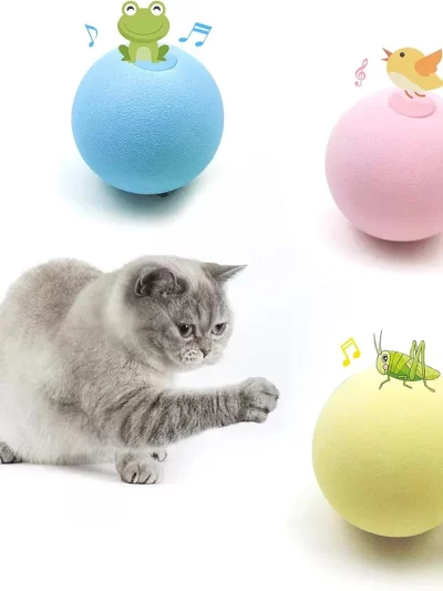 for Cats Training Kitten Puppy Toys for Indoor Play Cat Ball Toys Smart Dog Toys Interactive