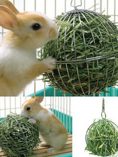 Rabbit Guinea Pig Grass Ball Pet Feeder Multipurpose Hay Ball Hanging Ball Feeder Toy Feeding Supplies for Chinchilla Rabbit