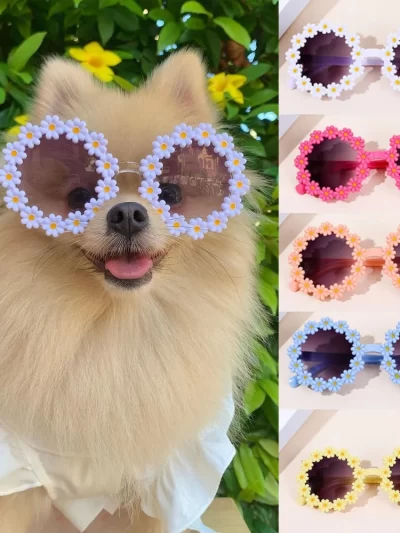 Pet Accessories Flower Sunglasses Circular Role Playing Glasses Photo Props Glasses For Cats And Small And Paracord Dog Leash