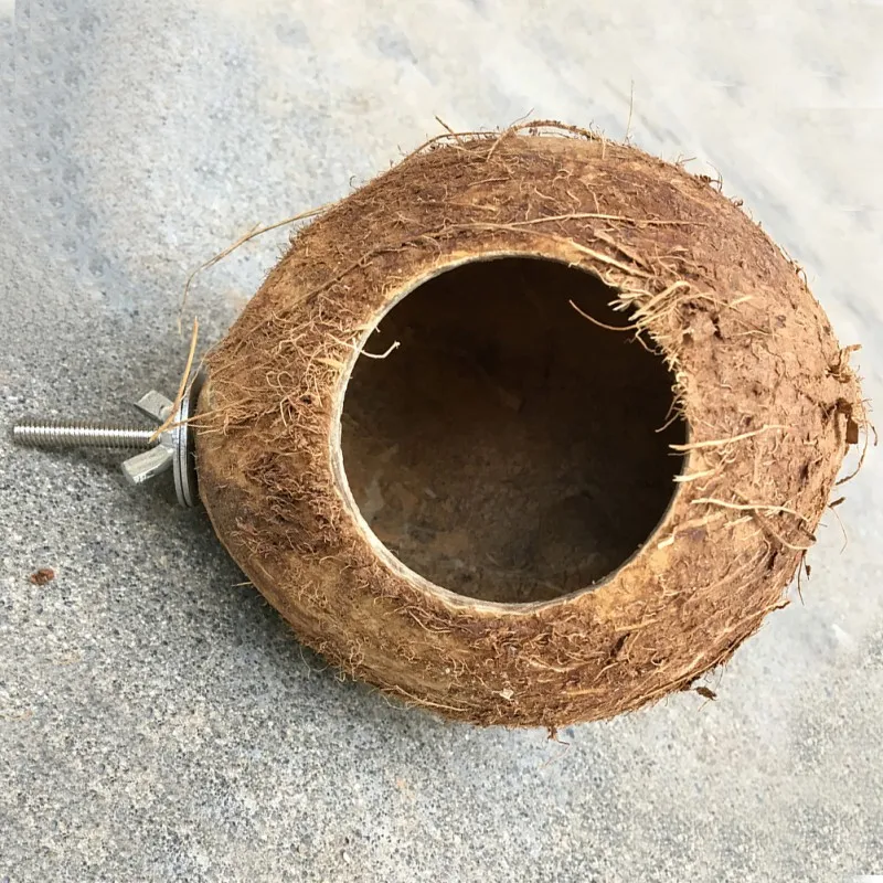 Coir Pet Nest Parrot Coir Bird Nest Squirrel Hamster Breeding Nest Pure Natural Coconut Hole Bird Nest 12-16cm Random Shipped - Image 3