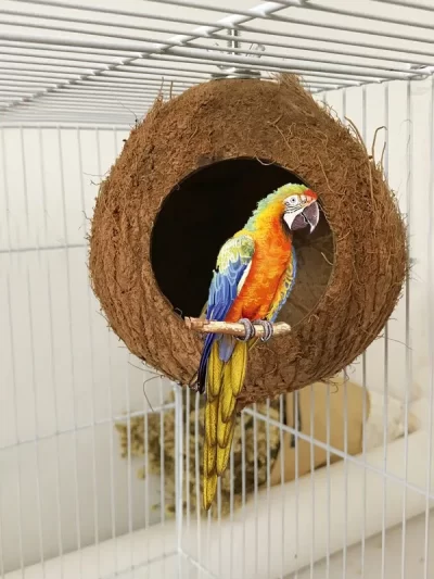 Coir Pet Nest Parrot Coir Bird Nest Squirrel Hamster Breeding Nest Pure Natural Coconut Hole Bird Nest 12-16cm Random Shipped