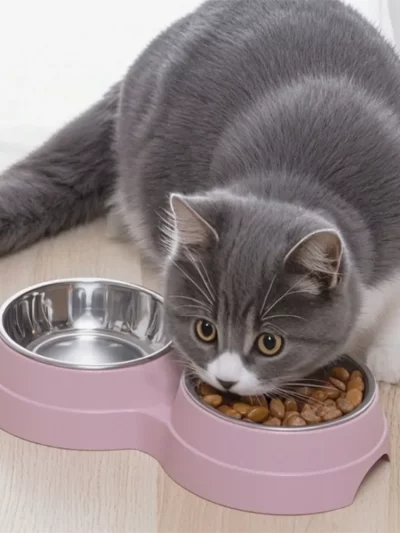 Pet Cat & Dog Dual Bowl - 2-in-1 Food & Water Bowl for Medium Cats, Puppies, Pet Feeding Supplies