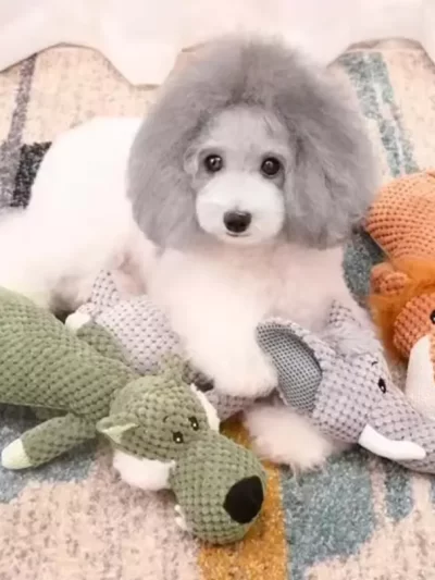 2025 Pet Dog Toys for Large Dogs Cute Plush Squeak Fleece Durable Chewing Cute Soft Pet Molar Toys Dogs Accessories 100K+ simila