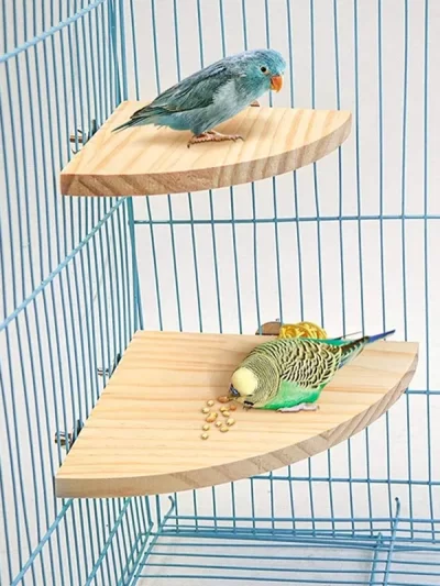 Parrot Bird Wood Perch Stand Platform Rectangle Fan-shaped Shelf Stand Board Parakeet Hamster Gerbil Rat Cage birdcage Supplies