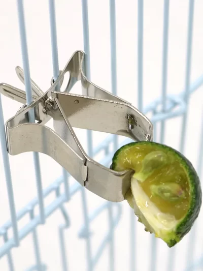 1-10pc Birds Parrots Fruit Forks Plastic Food Holder Feeding on Cage Bird Feeder Parrot Pet Bird Plastic Food Holder Pet Supplie