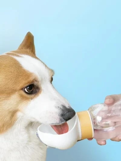 Portable Supplies for Outdoor Traveling - Dog and Cat Water Bottle, Puppy Drinker, Pet Feeder Accessories