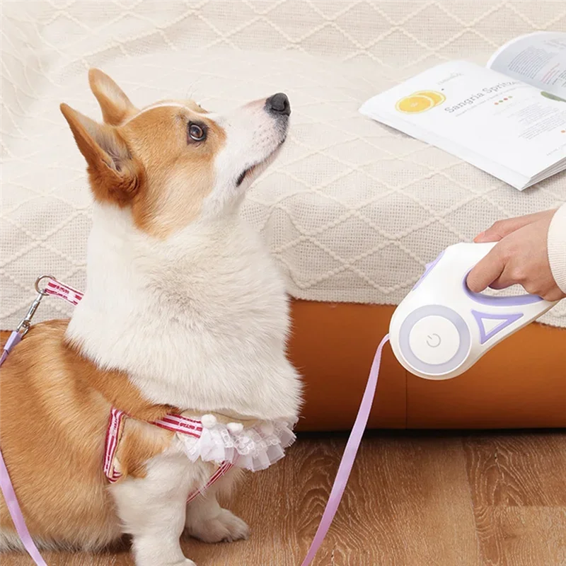 LED Equipped Retractable Pet Leashes Ideal for Night Outdoor Walks Small to Medium Breeds Non Slip Handle Durable - Image 3