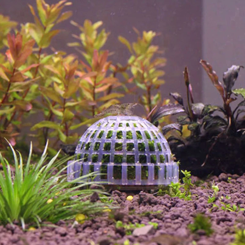 Aquatic Pet Supplies Decorations Aquarium Moss Ball Live Plants Filter Pet Decor - Image 5