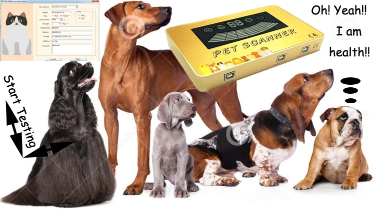 IN STOCK Hot Sale Pet Health Scanner Quantum Analyzer Auto Analyzer for Clinic 2024 - Image 14