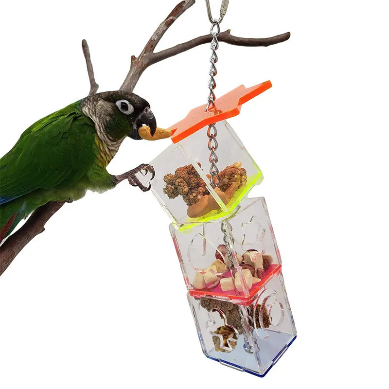 Bird Seeker Acrylic Parrot Puzzle Training Bird Toys Bird Supplies Parrot Toys - Image 4