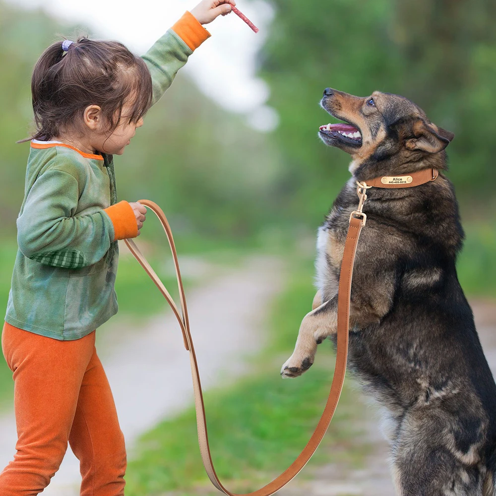 120cm Pet Dog Leash Soft PU Leather Padded Handle Dogs Lead Leash for Dog Walking Training German Shepherd Golden Retriever - Image 16