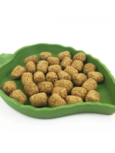 Reptile Feeder Leaf Shape Food Water Bowl for Turtle Lizards Hamsters Snakes Tortoise Gecko Small Pets Feeder Pet Supplies