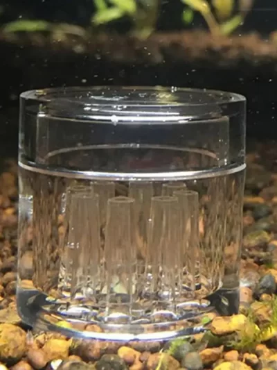 Planaria Trap Catch Trap Leeches Catcher Aquarium Supplies Clear Acrylic 8 Holes