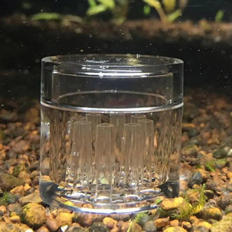 Planaria Trap Catch Trap Leeches Catcher Aquarium Supplies Clear Acrylic 8 Holes