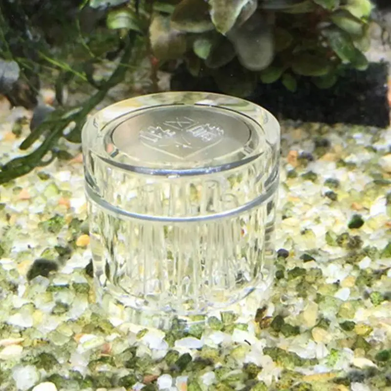 Planaria Trap Catch Trap Leeches Catcher Aquarium Supplies Clear Acrylic 8 Holes - Image 3
