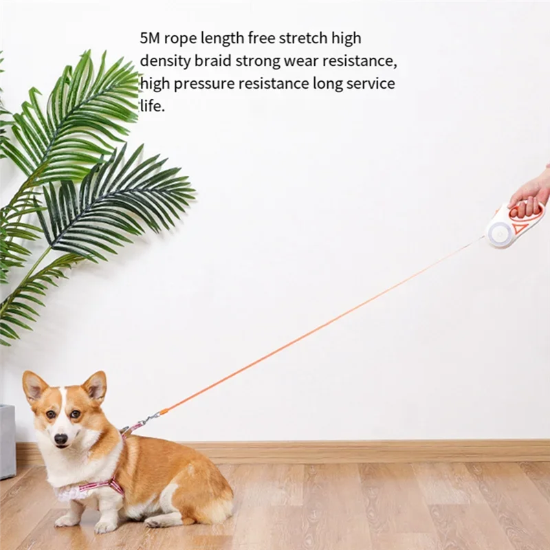 LED Equipped Retractable Pet Leashes Ideal for Night Outdoor Walks Small to Medium Breeds Non Slip Handle Durable - Image 5