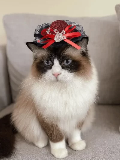 Pet Accessories Adjustable Pet Halloween Hat Sequin British Style Cat Cosplay Hat Elastic Band Cat Lace Hat Photo Prop