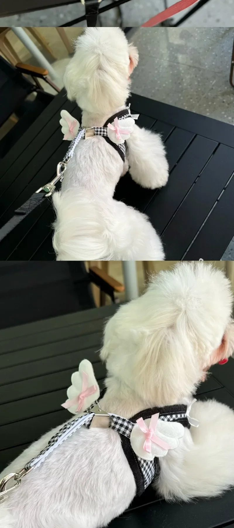 Cat Collars Pet Teddy Vs Panda Mimi Dog Walking Leash Chain and Small Puppy Outing Chest Strap Cute Chest Vest Cat Supplies - Image 12