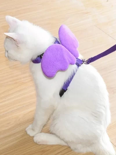 Cats Supplies Goods Kittens Accessories Pets Collar, Harness, Leash Pet Products Breast-band Kitten Things For Cat