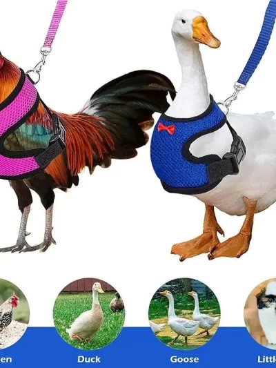 Pet Adjustable Harness Leash for Chicken Puppy Comfortable Breathable Pet Vest for Small Dogs Duck Goose Training Accessories