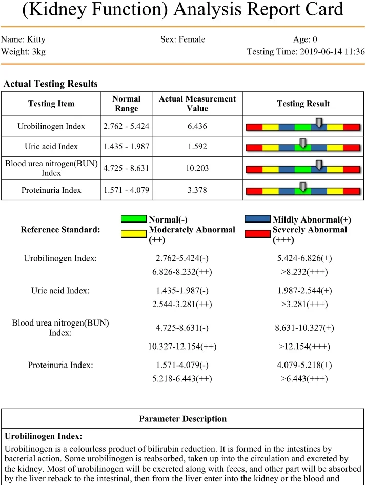 IN STOCK Hot Sale Pet Health Scanner Quantum Analyzer Auto Analyzer for Clinic 2024 - Image 17